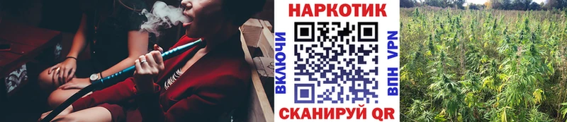 Как найти наркотики Богородицк АМФЕТАМИН  Cocaine  ГАШ  Псилоцибиновые грибы  МАРИХУАНА  МЕФ 