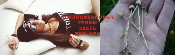 стафф Белоозёрский