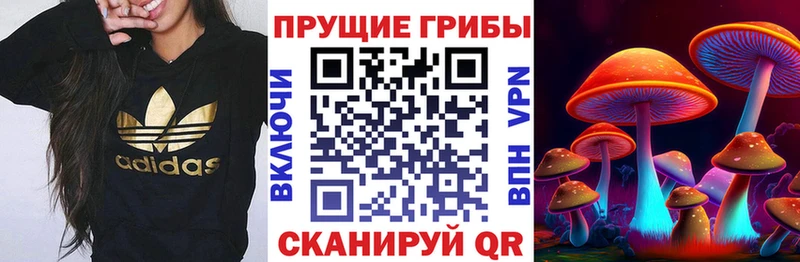 Галлюциногенные грибы MAGIC MUSHROOMS Богородицк